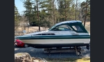 Sea Ray 250-kuva-7